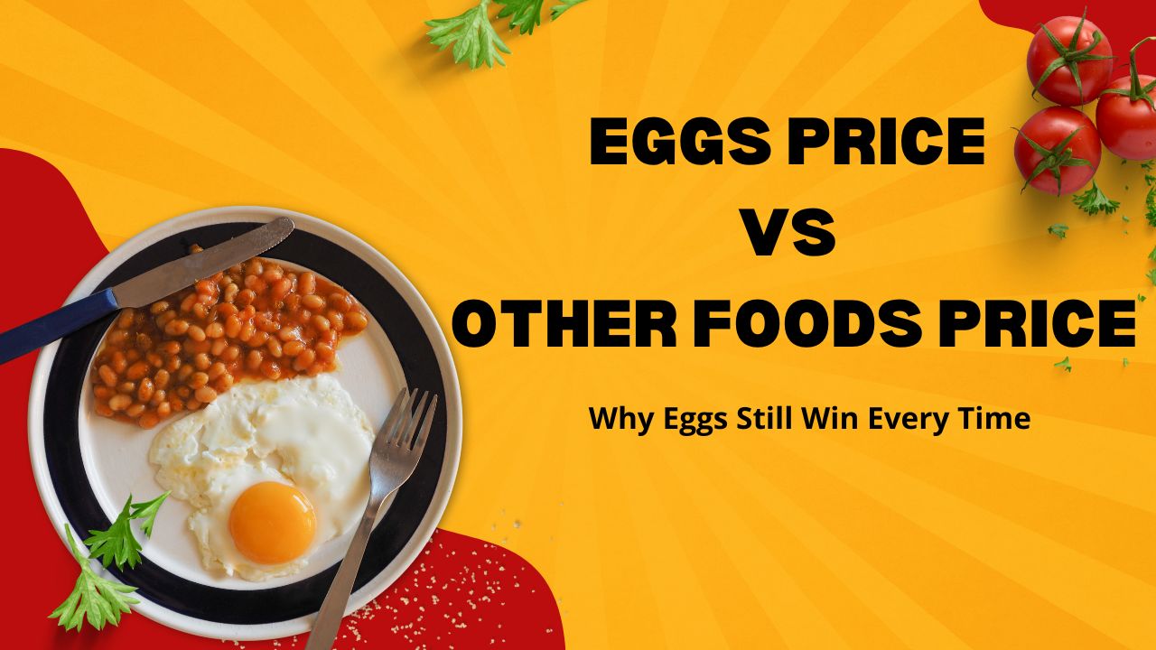 Eggs price