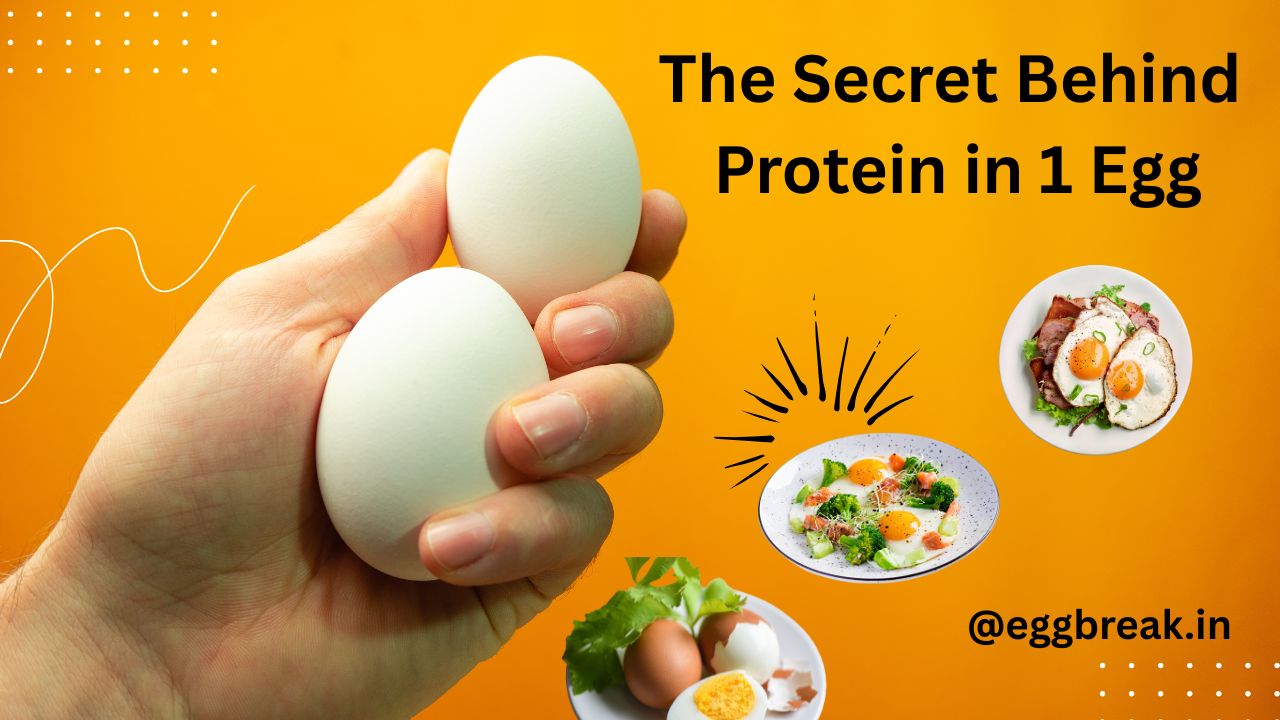 protein in 1 egg
