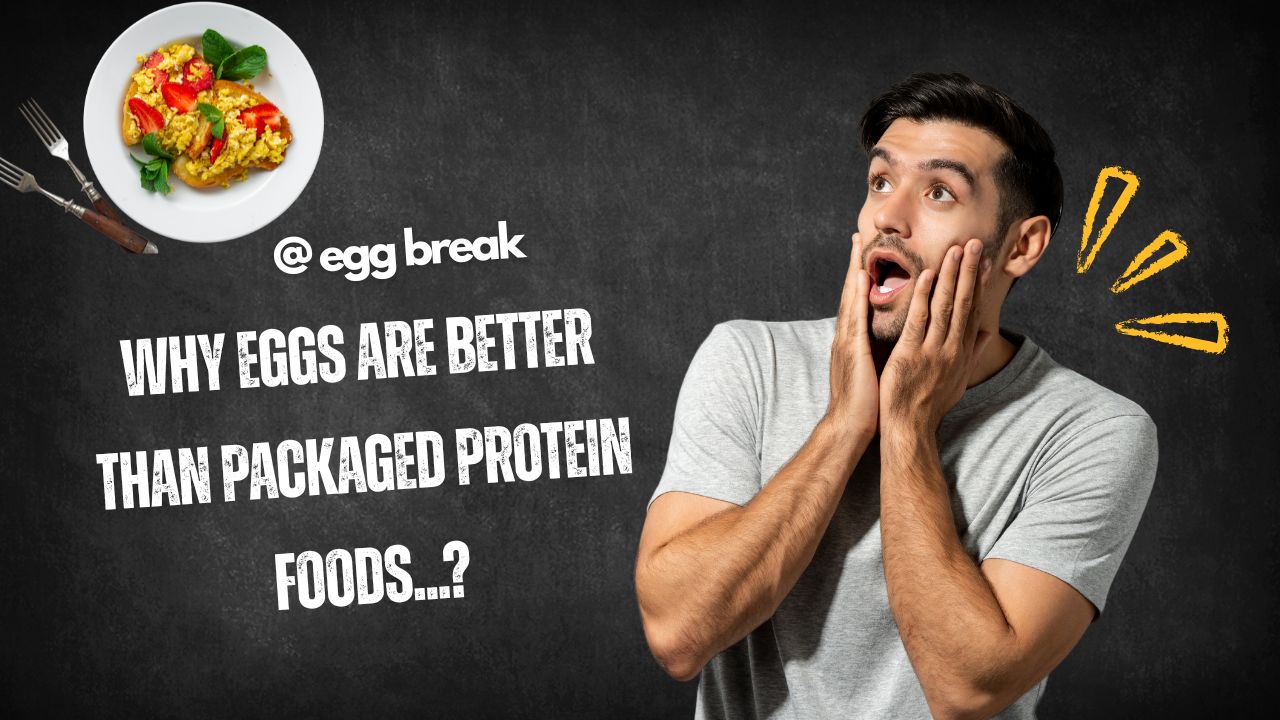 Egg Protein
