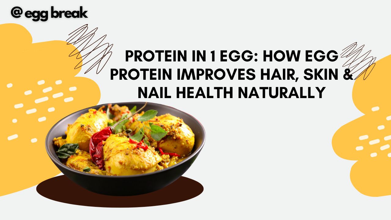 Protein in 1 Egg