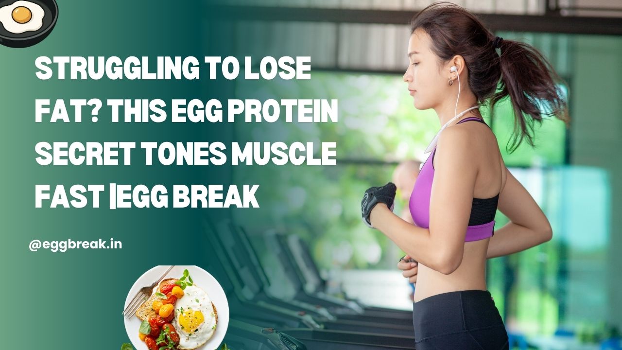 egg Protein