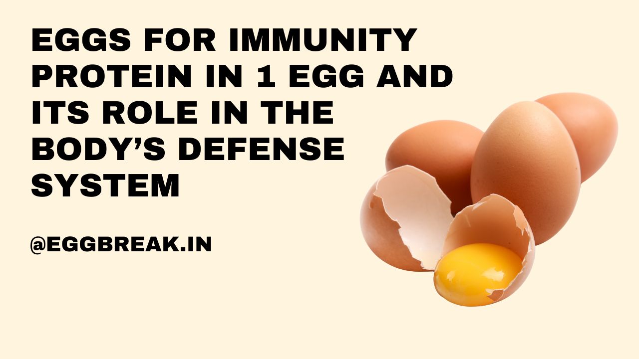 Protein in 1 Egg