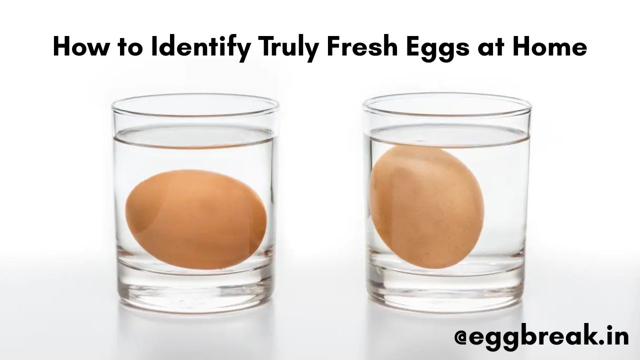 Fresh Eggs