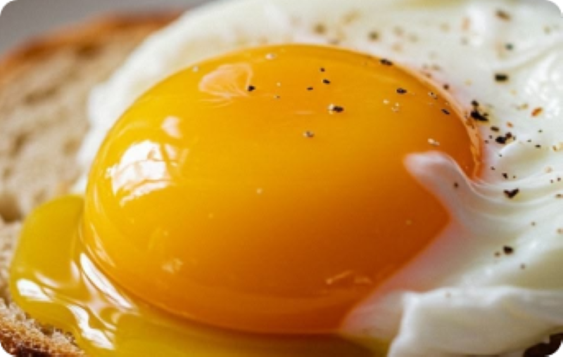 Ultimate Guide to Solo Cooking: Quick & Healthy Egg Recipes for Busy Days